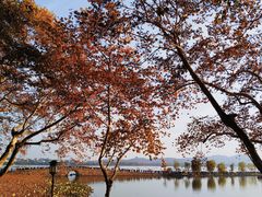 -北山街历史文化街区