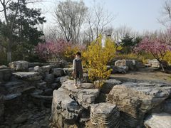 -大兴滨河森林公园