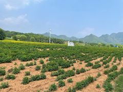 -百里山水画廊