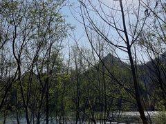 -温州永嘉书院