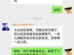 -美联众合动物医院·24h转诊中心