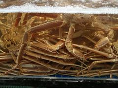-东海怡品海鲜豆捞(星街坊店)
