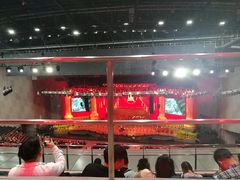 -成都金融城演艺中心