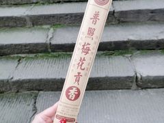 -都江堰普照寺