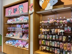 -KAKAO FRIENDS(弘大店)