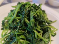 清炒鸡毛菜-峨嵋酒家(地安门店)