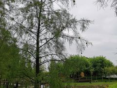-映月湖公园