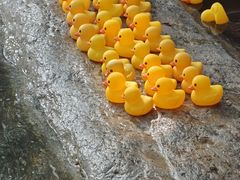 -湖泉半山温泉(湖泉生态园)