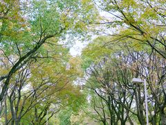 -白塘生态植物园