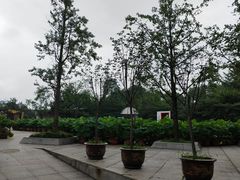 -南山植物园