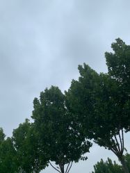 -HEYAN长风荷妍专业脱毛美肤
