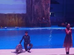 -华夏文旅海洋公园