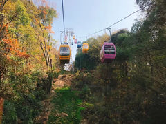 -东湖磨山景区