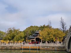 -西园戒幢律寺