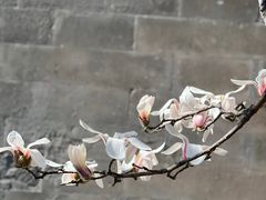 -东华门大街小区