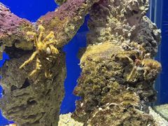 -海合安武汉极地海洋公园