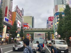-秋叶原电器街