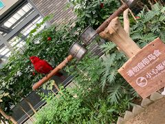 -南宫五洲植物乐园