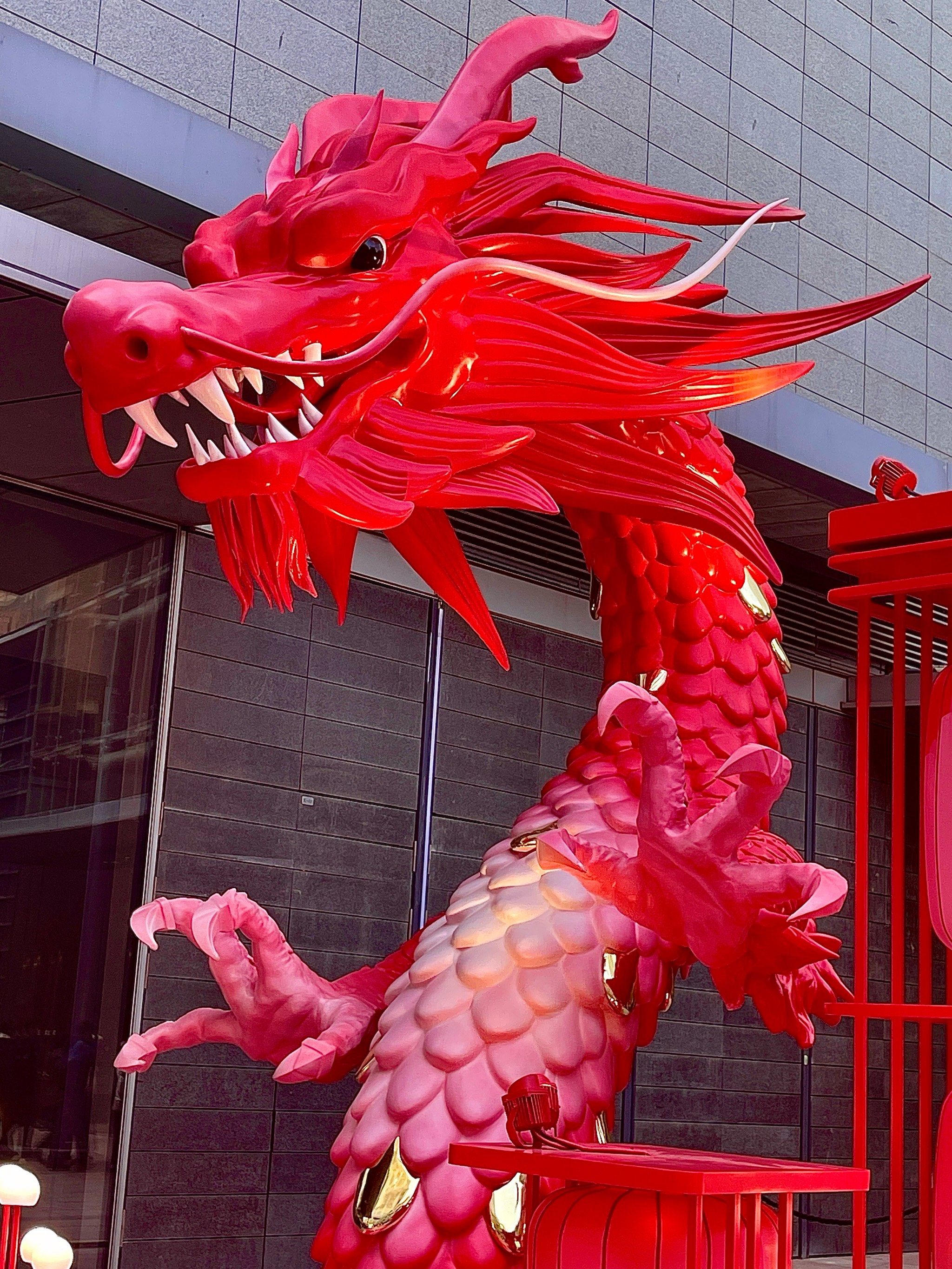 这大红龙!年味儿这不就来了吗🧨