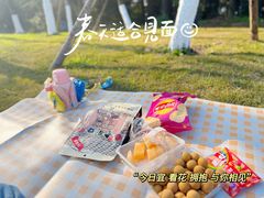 -铁山坪森林公园