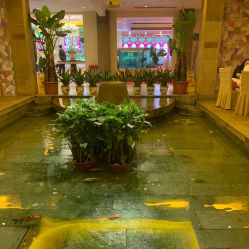 宴会厅-惠食佳·宴会厅(滨江西路店)