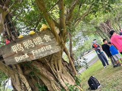 -Club Med地中海俱乐部·桂林度假村