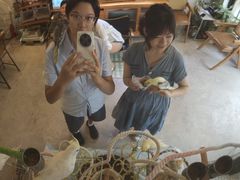-吉丁鸟咖·异宠·寄养