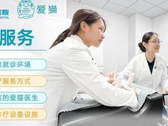 -美联众合动物医院·24h转诊中心
