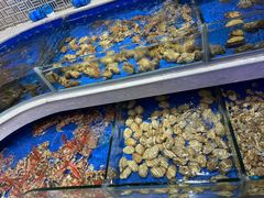 水产区-迈姨·潮州菜(麓湖公园店)