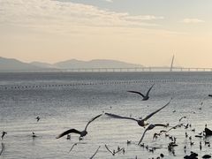 -深圳湾公园(南山区)