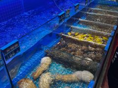 -启东小海鲜(庄先湾路1号店)