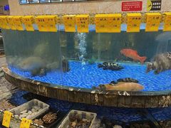 -顺德人家食府(黄金广场店)