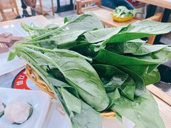 菠菜-老北京涮羊肉(航东路店)