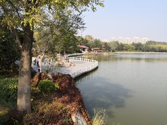 -塘沽森林公园
