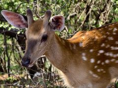 -大连冰峪旅游度假区