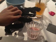 -醉了的船Le Bateau Ivre(温江店)