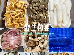 -七采菌园·野生菌石锅鱼(环城北路店)