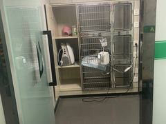 -半岛宠物医院24小时(科华中路店)