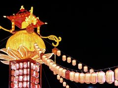 -武汉园博园(武汉自然博物馆)