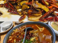 -滇铺子·云南特色菜·第九届野生菌美食节(东风东路c86店)