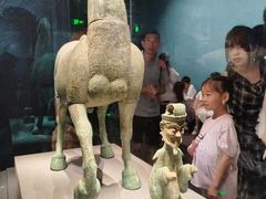 -广西壮族自治区博物馆