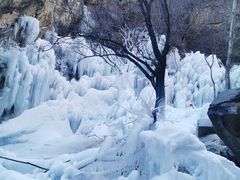-黑龙潭风景区