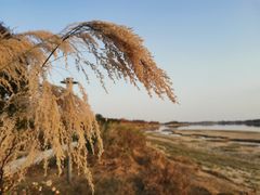 -鹤之洲湿地公园