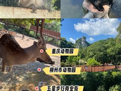 -柳州市动物园