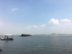 -海鸥岛
