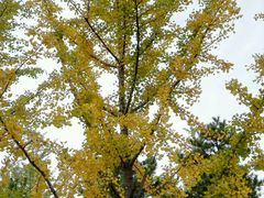 -北京园博大酒店