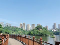 -重庆彩云湖湿地公园
