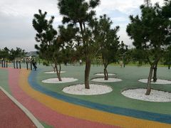 -羊亭河湿地公园