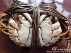 iphone_upload_pic-珍宝蟹舫·巴城味道(巴城总店)