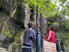 -梦幻奥陶纪景区